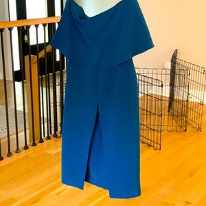 Perfect Wedding Guest/Meet the parents dress